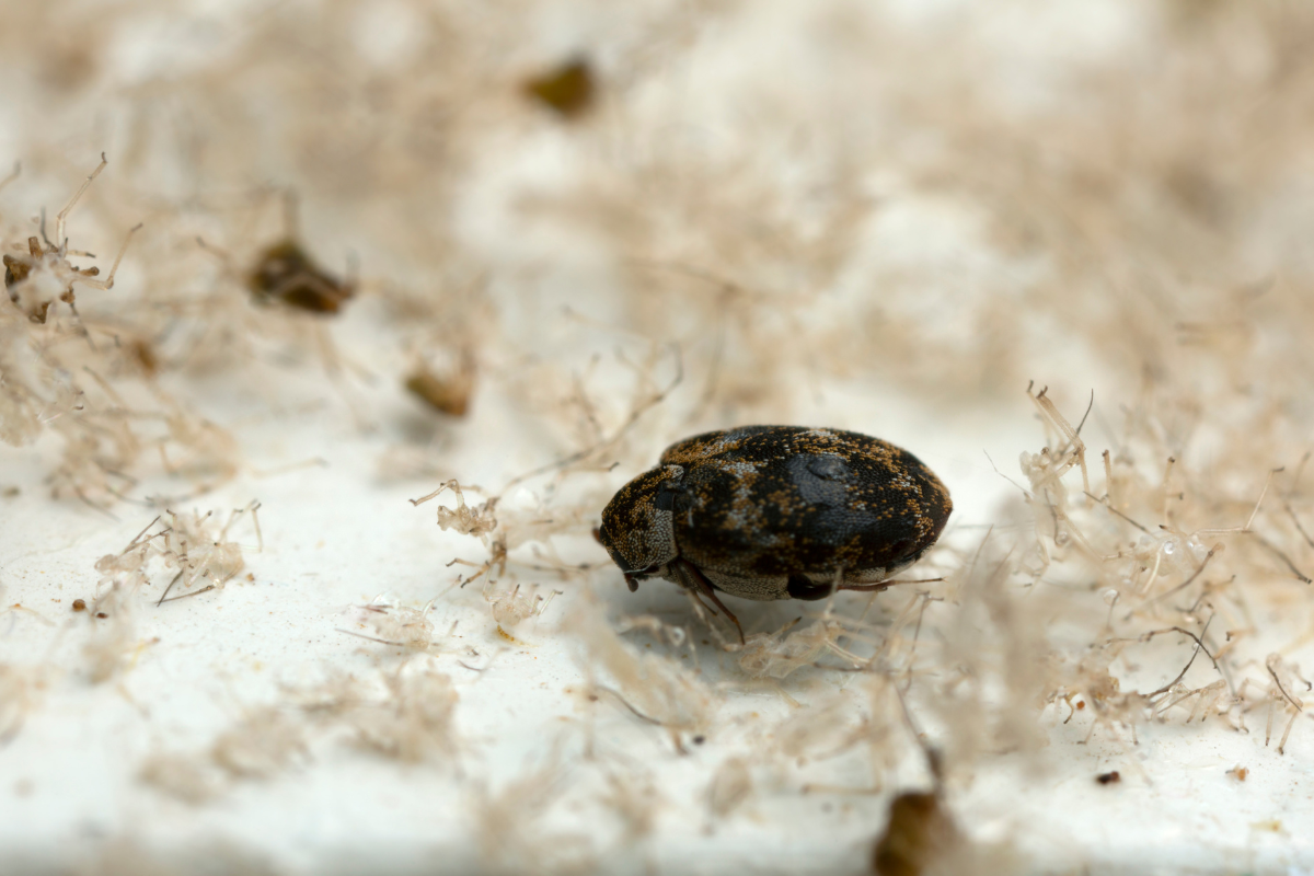 Pourquoi nous choisir